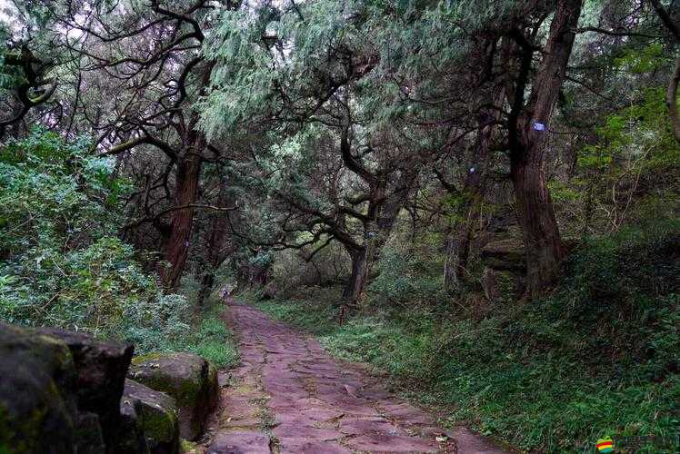 鎖鏈戰記平民攻略：魔光角陣策略詳解，征服討伐戰的最佳方法