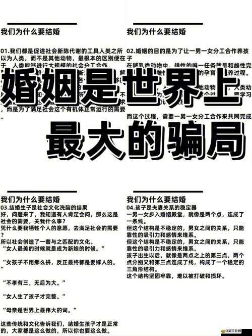 結婚系統(tǒng)深度探究：現代婚姻中的程序設計與情感體驗之交融交互的魅力探究