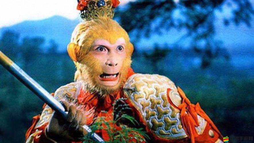 金鵬雕與孫悟空的誤會解決過程