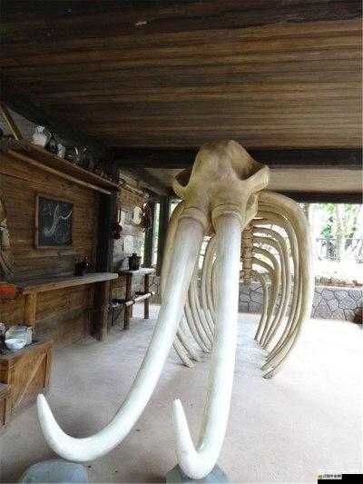 亞洲最大網(wǎng)站 7777 怡紅院首頁(yè)被黑