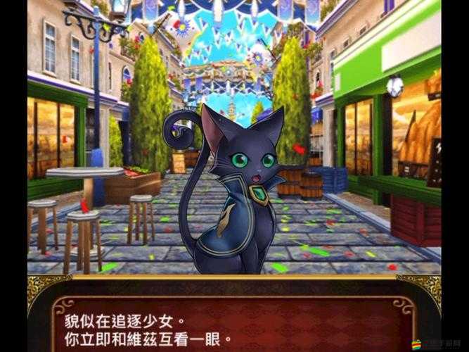 魔法使與神秘黑貓維茲的答案寶典：題庫問答合集揭秘