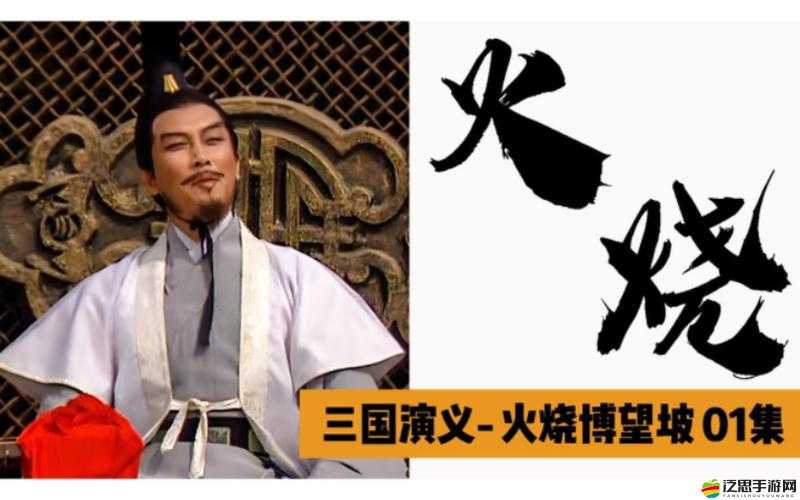 《戀姬亂舞：火燒博望坡終極攻略》