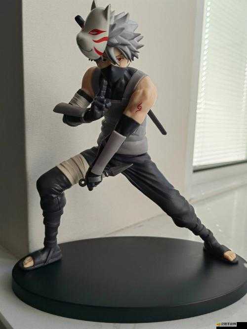 海賊與火影的寶物爭奪戰