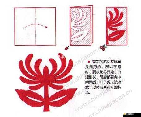 六年級菊花能塞下幾支筆：探究實驗