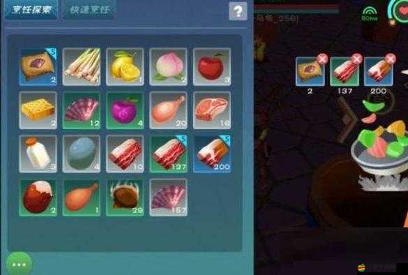 創造與魔法：獨特飛龍飼料制作秘笈探秘