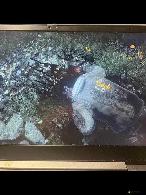 伊森卡特的消失游戲存檔與秘籍全面深度大揭秘指南