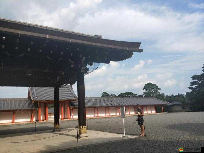 色尼瑪亞洲的魅力探尋與文化傳承之旅