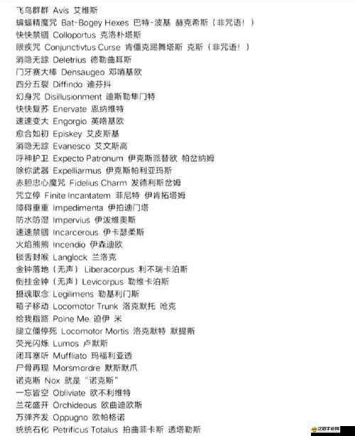 哈利波特回響獲取攻略：揭秘神秘咒語與隱藏任務雙重途徑