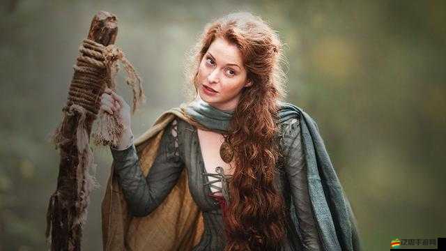 《決戰(zhàn)波斯之巔：天生好斗者的切磋指南》