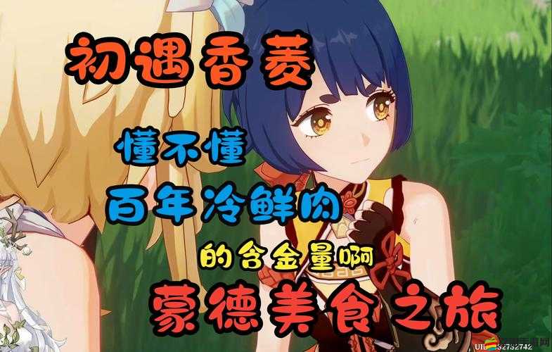 原神4.1世界任務：開滿鮮花的草地上美食之旅