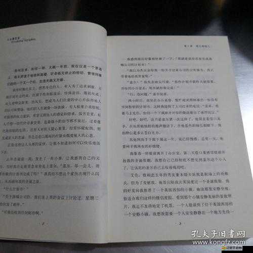 我的小后媽中文翻譯：探索家庭關系中的復雜情感與成長故事