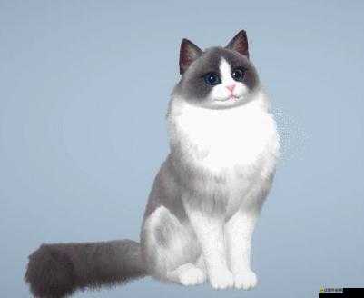 《劍俠世界3》新萌寵布偶貓火熱上線，引爆寵物熱潮