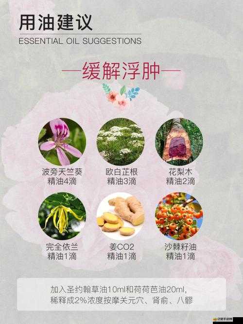 James 配對(duì)的女生：浪漫之旅即將開啟