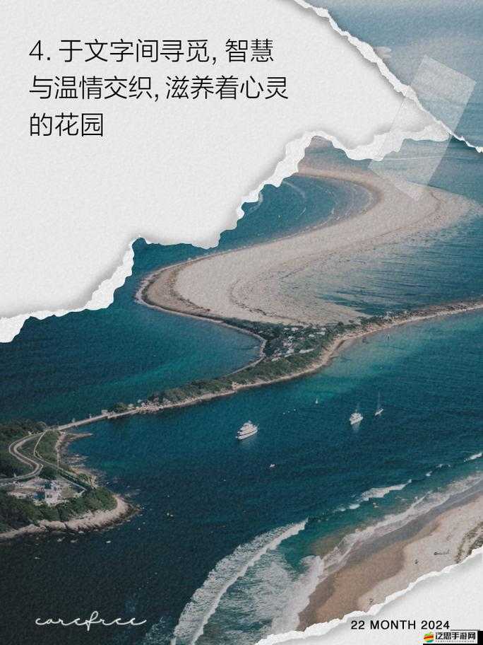 唯美清純論壇：心靈的純凈港灣