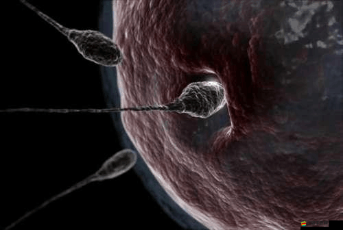 幼童雛鳥短現(xiàn)在入口：探尋成長奧秘