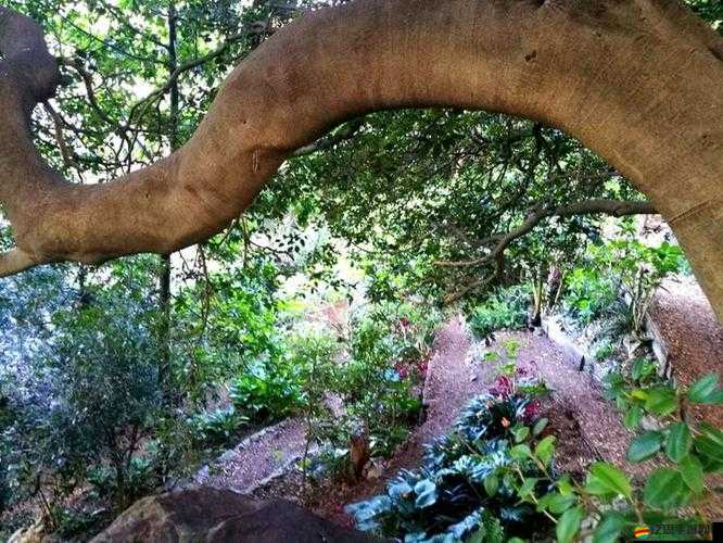 秘密花園高清在線觀看完整版：精彩不容錯過