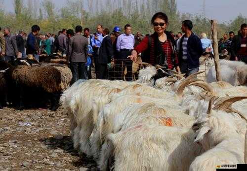 緬甸思?jí)糸_火車 17 小時(shí)：一段難忘的旅程