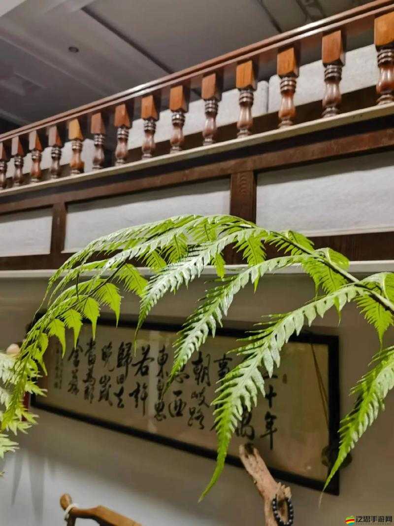 幸福人生蘇大強(qiáng)文章：探尋背后的真諦