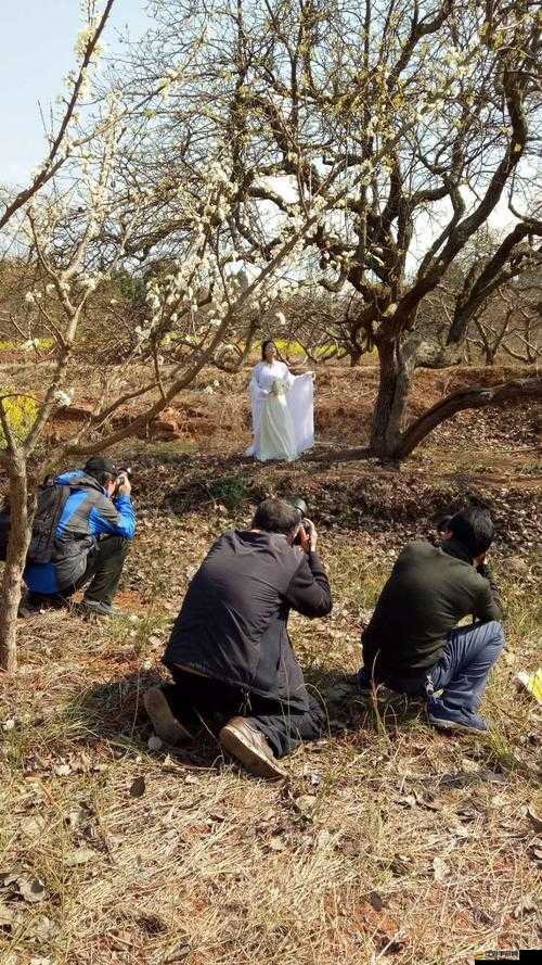 成全看免費(fèi)觀看：全新視覺盛宴等你