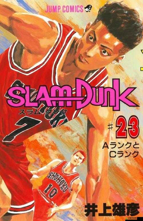 《神宗郎的籃球傳奇：灌籃高手的榮耀之路》