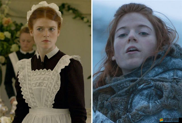 《錯(cuò)誤游戲Reset之DIGDUG角色探秘：全面解析游戲中的角色風(fēng)采》