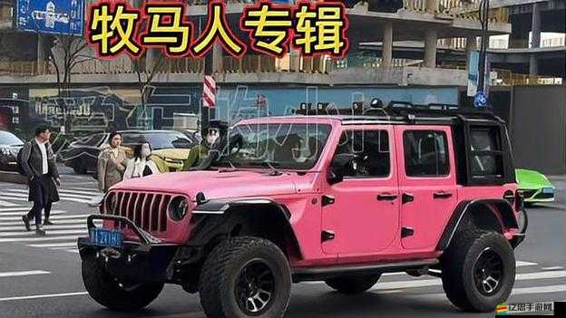 桃紅色jeep 界人口的特點(diǎn)：獨(dú)特的出行風(fēng)格展現(xiàn)