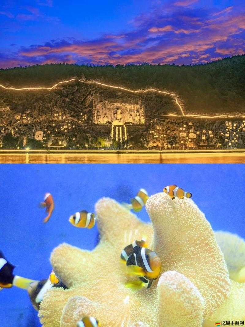 讓人看了下面有感覺：探索獨(dú)特魅力