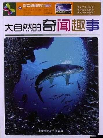 戶外插 bbbbb：探索自然的新方式