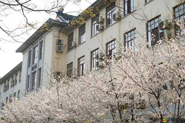 校園 Pop1 車多：獨特的校園風(fēng)景