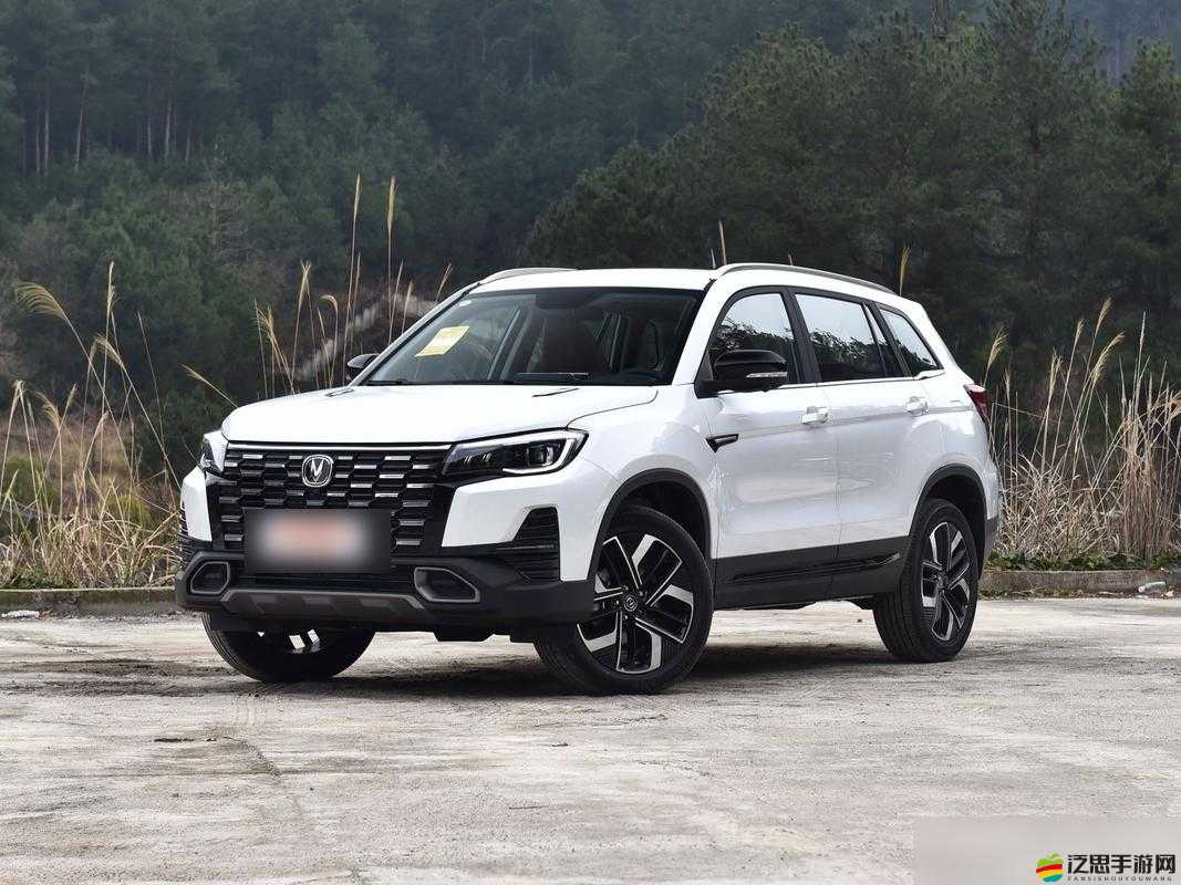 國產又美又漂亮的 SUV：引領時尚出行新潮流