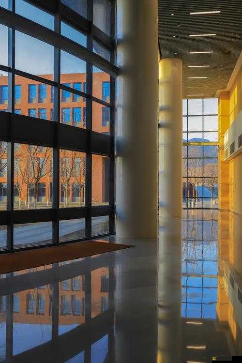 《蒼穹之光》破曉——職業技能深度解析與實戰應用指南