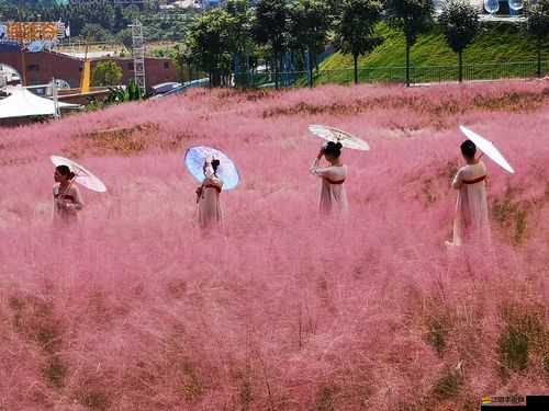 愛絲小仙女：夢(mèng)幻之旅即將開啟