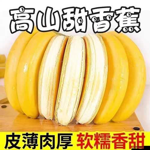 大香蕉：新鮮美味的水果之選