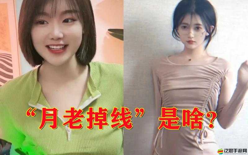 老婦槡BBBB槡BBBB槡：一段不為人知的傳奇經歷