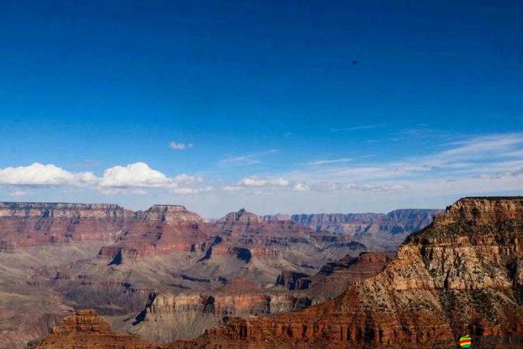 美國人XXXX：他的獨特人生之旅