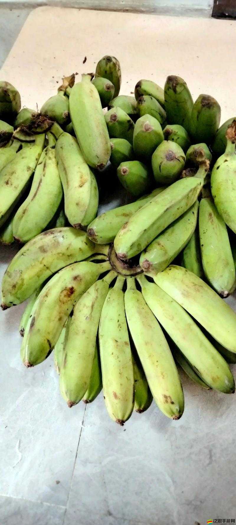 大香蕉香蕉網(wǎng)：提供豐富香蕉相關(guān)資訊與服務(wù)的平臺(tái)