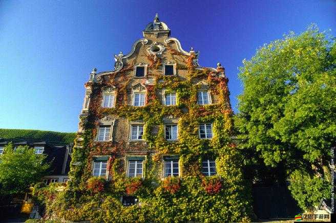 歐美精品一產(chǎn)區(qū)二產(chǎn)區(qū)的特點(diǎn)：風(fēng)格差異與藝術(shù)追求