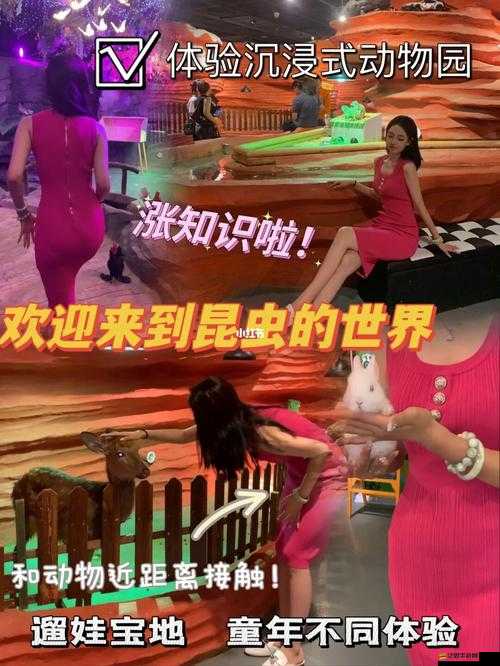 亂爽水交：獨(dú)特體驗(yàn)與未知冒險(xiǎn)