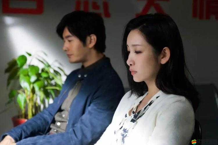 成全高清免費與普通版對比：誰更勝一籌