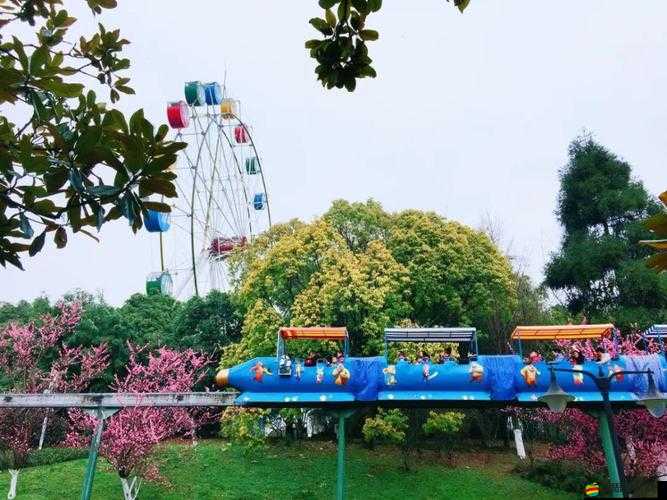 桶爽：一場獨特的體驗之旅