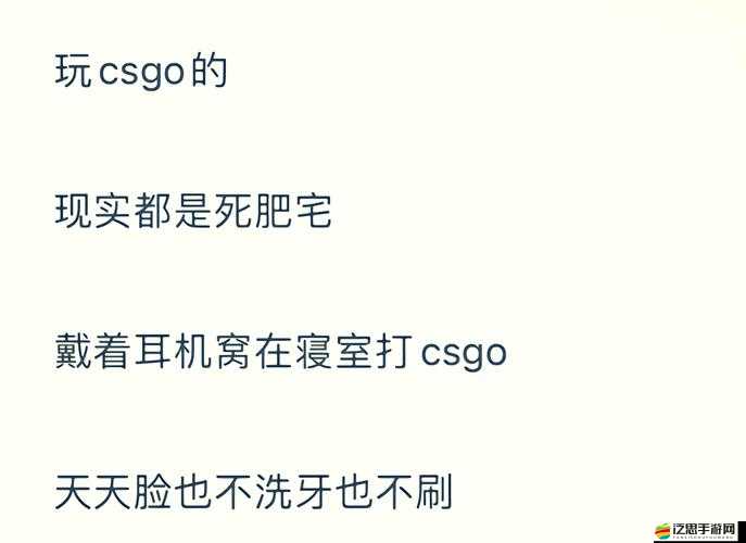 暴躁老阿姨CsGO-最新章節更新大揭秘