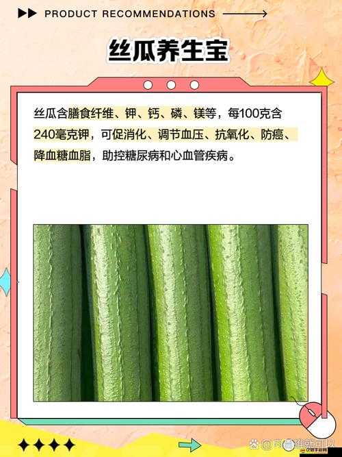 草莓絲瓜黃瓜向日葵榴蓮：五種果蔬的獨特魅力與價值探索