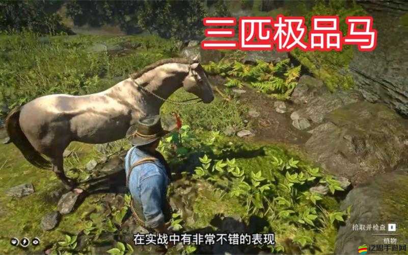 老鏢客視頻大全高清：精彩內容不容錯過