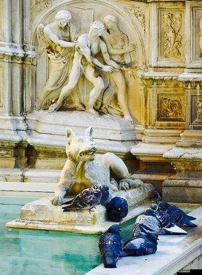 呂總噴泉洗手引發的公眾關注與道德思考