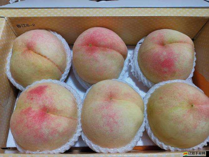 水蜜桃編碼 1038：甜蜜水果的獨特標識