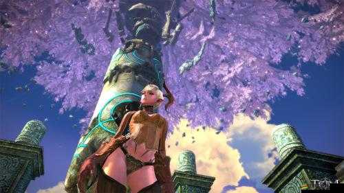 Tera弓箭手全方位技能剖析，基礎技能掌握與PVP技能實戰應用一覽