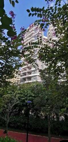 森林湖中建房子，掌握選址、設計與建造技巧，打造生態宜居家園