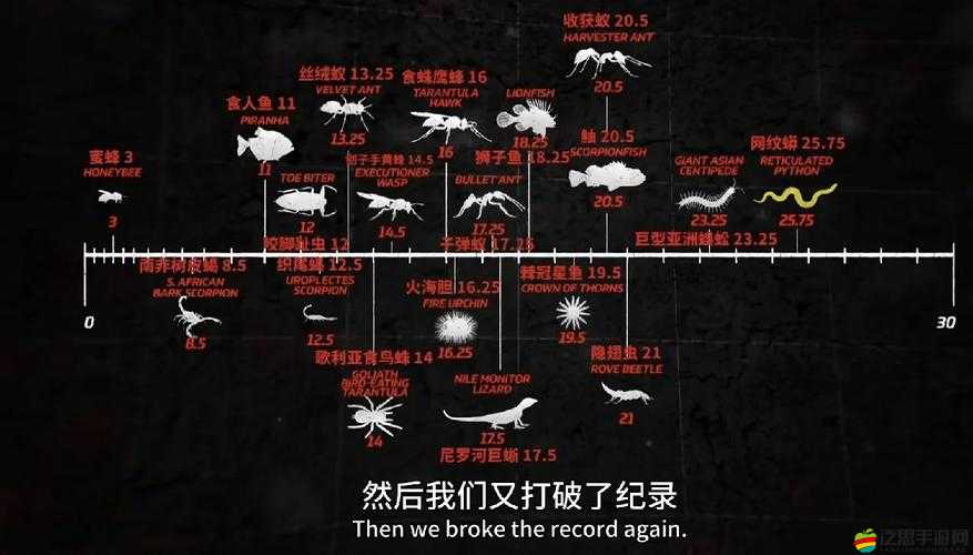 疼痛之輪 WHEEL OF PAIN：無盡的折磨