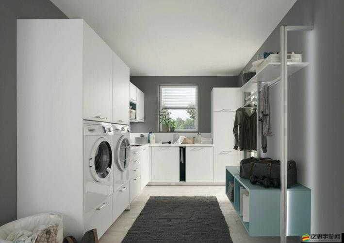 洗衣屋 1—2：打造整潔清新的衣物護理空間