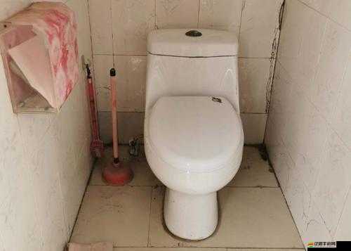 溝廁精品：精心打造的高品質衛生潔具新選擇